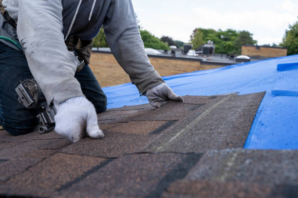 Best Commercial Roofing Services  in Garden City, MO